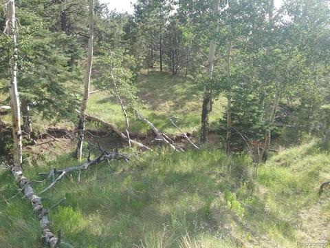 568 Kankakee Rd, Westcliffe, CO 81252 photo 20