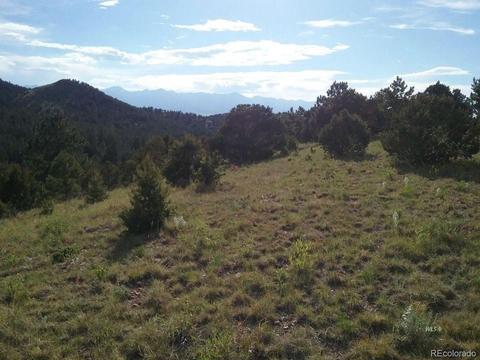 568 Kankakee Rd, Westcliffe, CO 81252 photo 22