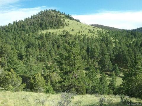 568 Kankakee Rd, Westcliffe, CO 81252 photo 24