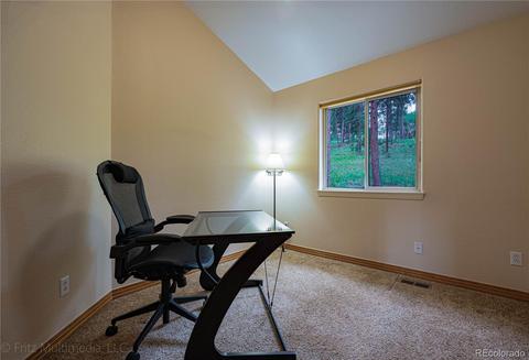 34312 Chilton Ave, Pine, CO 80470 photo 16