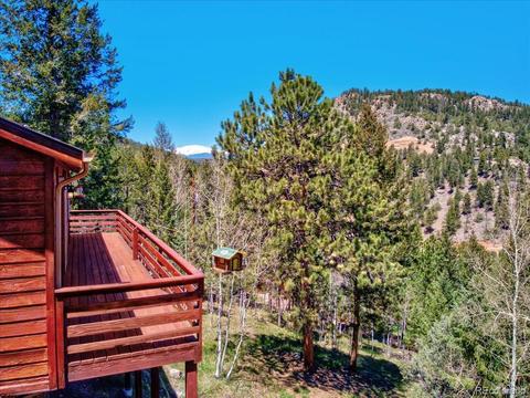 1682 Roland Dr, Bailey, CO 80421 photo 18
