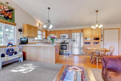 1682 Roland Dr, Bailey, CO 80421 photo 5