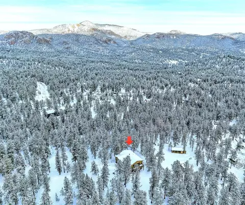 Other - 270 Dawson Rd, Pine, CO 80470 photo 5 of 11
