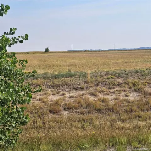 16094 E Mccara Ct, Peyton, CO 80831 photo 3