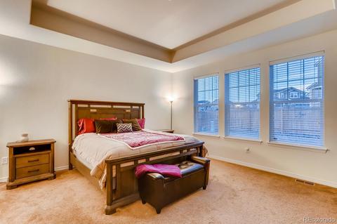 6717 E 134th Cir, Thornton, CO 80602 photo 18
