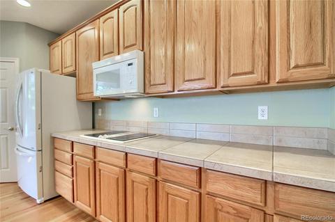 17454 E Cloudberry Dr, Parker, CO 80134 photo 13