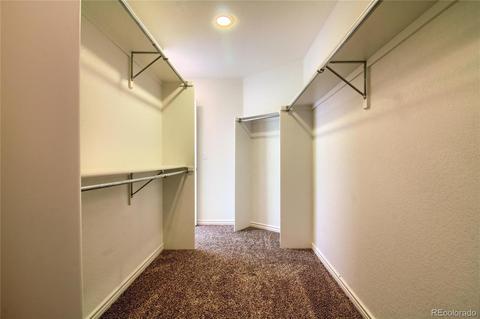 17454 E Cloudberry Dr, Parker, CO 80134 photo 31