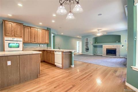 17454 E Cloudberry Dr, Parker, CO 80134 photo 17