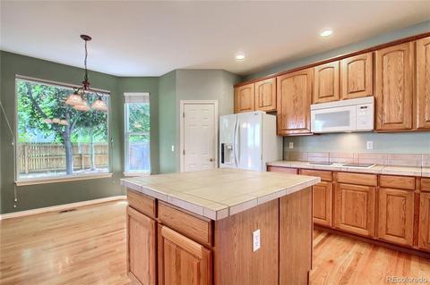 17454 E Cloudberry Dr, Parker, CO 80134 photo 12
