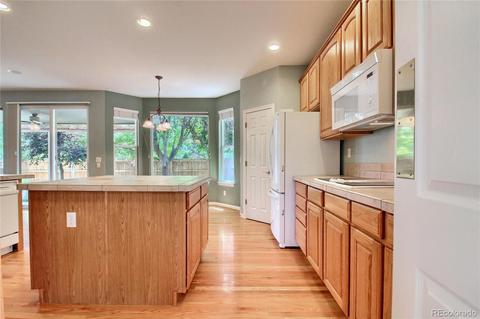 17454 E Cloudberry Dr, Parker, CO 80134 photo 8
