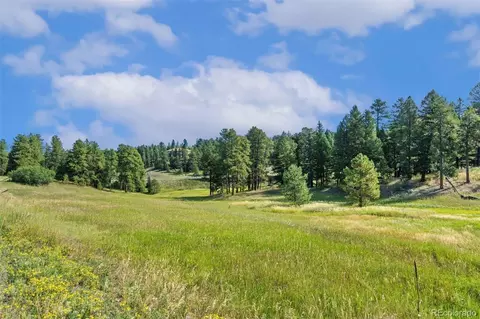 8066 Federation Dr, Morrison, CO 80465 photo 14
