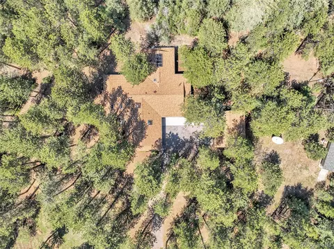 8782 S Ault Ln, Morrison, CO 80465 photo 24