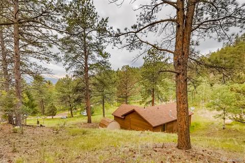 566 Old State Rd, Bailey, CO 80421 photo 17