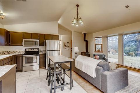 566 Old State Rd, Bailey, CO 80421 photo 8
