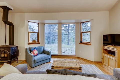 566 Old State Rd, Bailey, CO 80421 photo 5