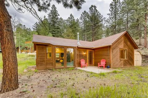 566 Old State Rd, Bailey, CO 80421 photo 3