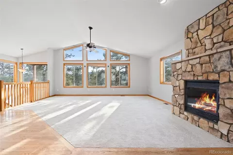 377 Deer Trail Dr, Bailey, CO 80421 photo 6
