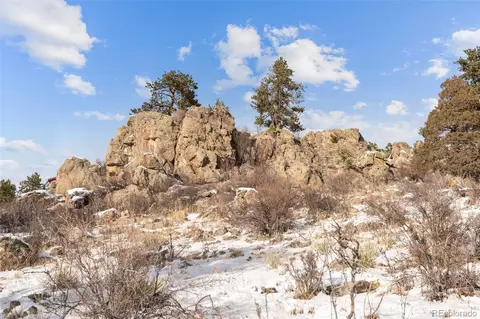 377 Deer Trail Dr, Bailey, CO 80421 photo 35