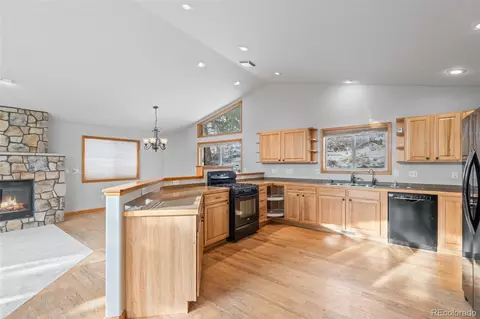 377 Deer Trail Dr, Bailey, CO 80421 photo 11