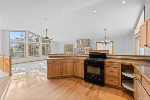 377 Deer Trail Dr, Bailey, CO 80421 photo 12