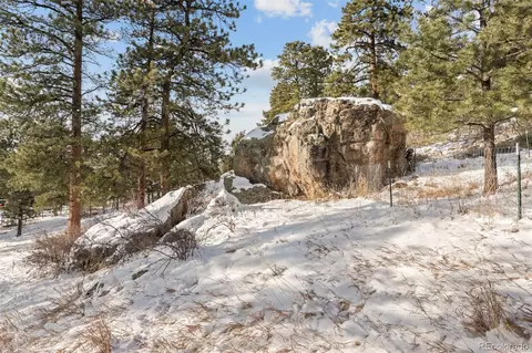 377 Deer Trail Dr, Bailey, CO 80421 photo 34