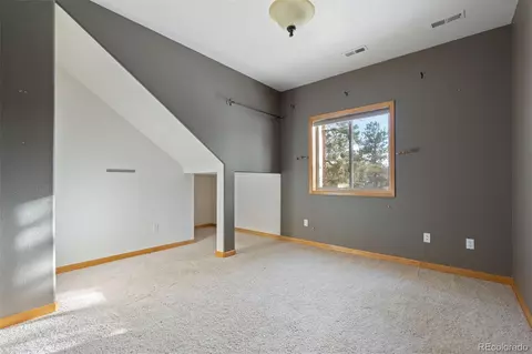 377 Deer Trail Dr, Bailey, CO 80421 photo 22