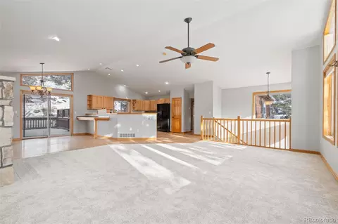377 Deer Trail Dr, Bailey, CO 80421 photo 7