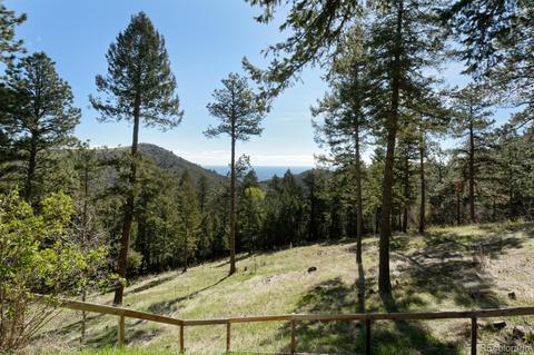 63 W Ranch Trl, Morrison, CO 80465 photo 13
