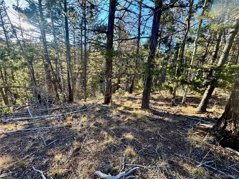 lot5888 Loubier Rd, Fort Garland, CO 81152