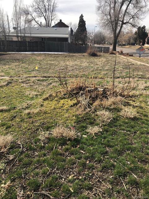 2300 E 37th Ave, Denver, CO 80205 photo 3