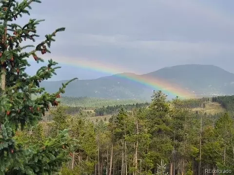 Other - 8511 S Warhawk Rd, Conifer, CO 80433 photo 13 of 13