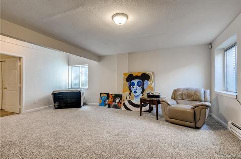 4125 Jericho St, Denver, CO 80249 photo 23