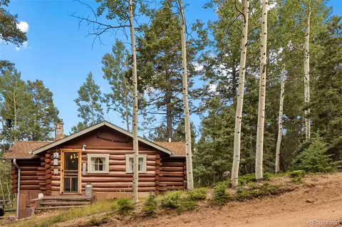 159 Skyline Ln, Woodland Park, CO 80863