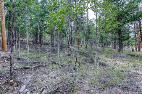 728 S Pine Dr, Bailey, CO 80421 photo 34