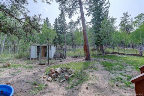 728 S Pine Dr, Bailey, CO 80421 photo 32
