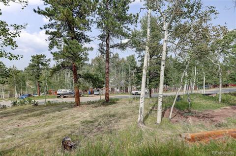 728 S Pine Dr, Bailey, CO 80421 photo 28
