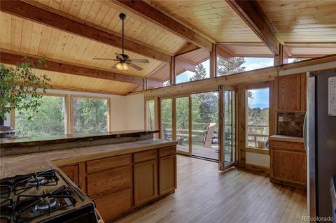 728 S Pine Dr, Bailey, CO 80421 photo 10