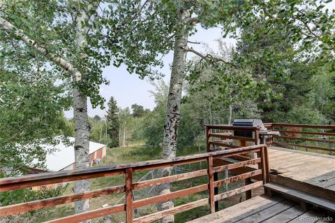 728 S Pine Dr, Bailey, CO 80421 photo 27