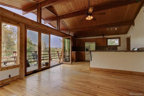 728 S Pine Dr, Bailey, CO 80421 photo 5