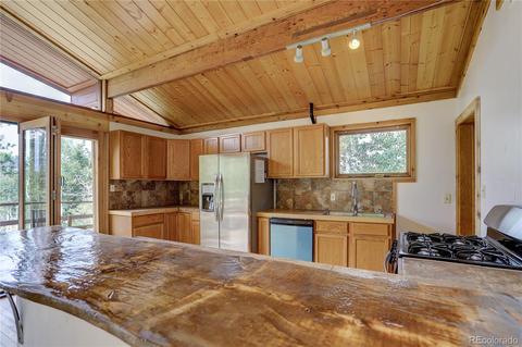 728 S Pine Dr, Bailey, CO 80421 photo 13
