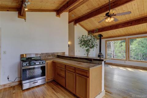 728 S Pine Dr, Bailey, CO 80421 photo 12