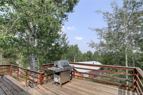 728 S Pine Dr, Bailey, CO 80421 photo 26