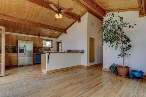 728 S Pine Dr, Bailey, CO 80421 photo 7