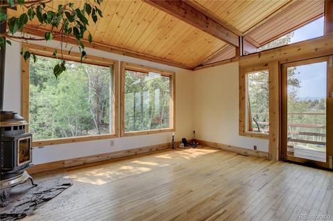 728 S Pine Dr, Bailey, CO 80421 photo 9
