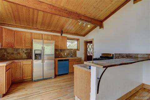 728 S Pine Dr, Bailey, CO 80421 photo 11