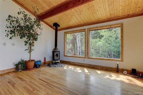 728 S Pine Dr, Bailey, CO 80421 photo 6