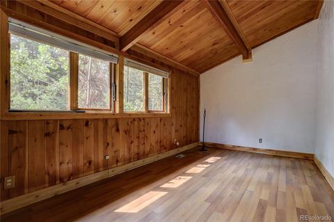 728 S Pine Dr, Bailey, CO 80421 photo 19
