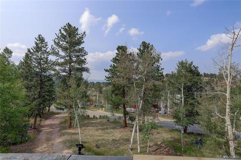 728 S Pine Dr, Bailey, CO 80421 photo 29
