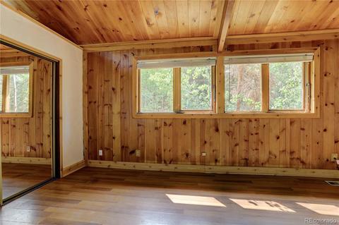 728 S Pine Dr, Bailey, CO 80421 photo 18