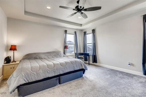 546 Fall River Ct, Brighton, CO 80601 photo 16